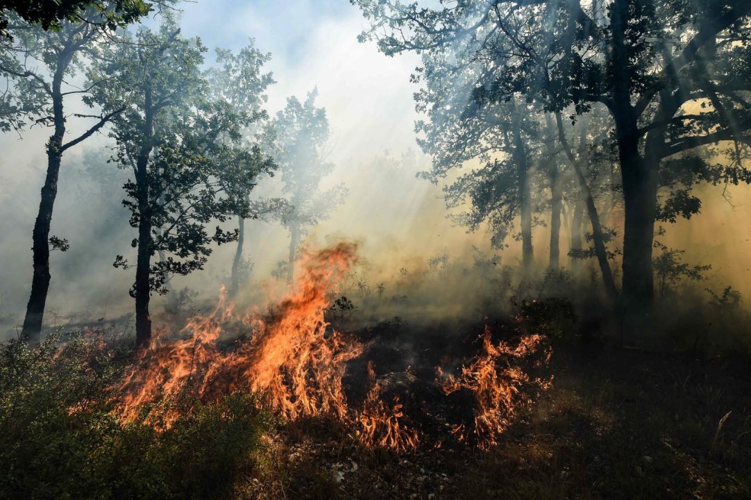 découvrez comment la recrudescence des incendies de forêt dans l'ouest représente un défi croissant pour les assureurs : risques accrus, solutions d'assurance et stratégies d'adaptation.