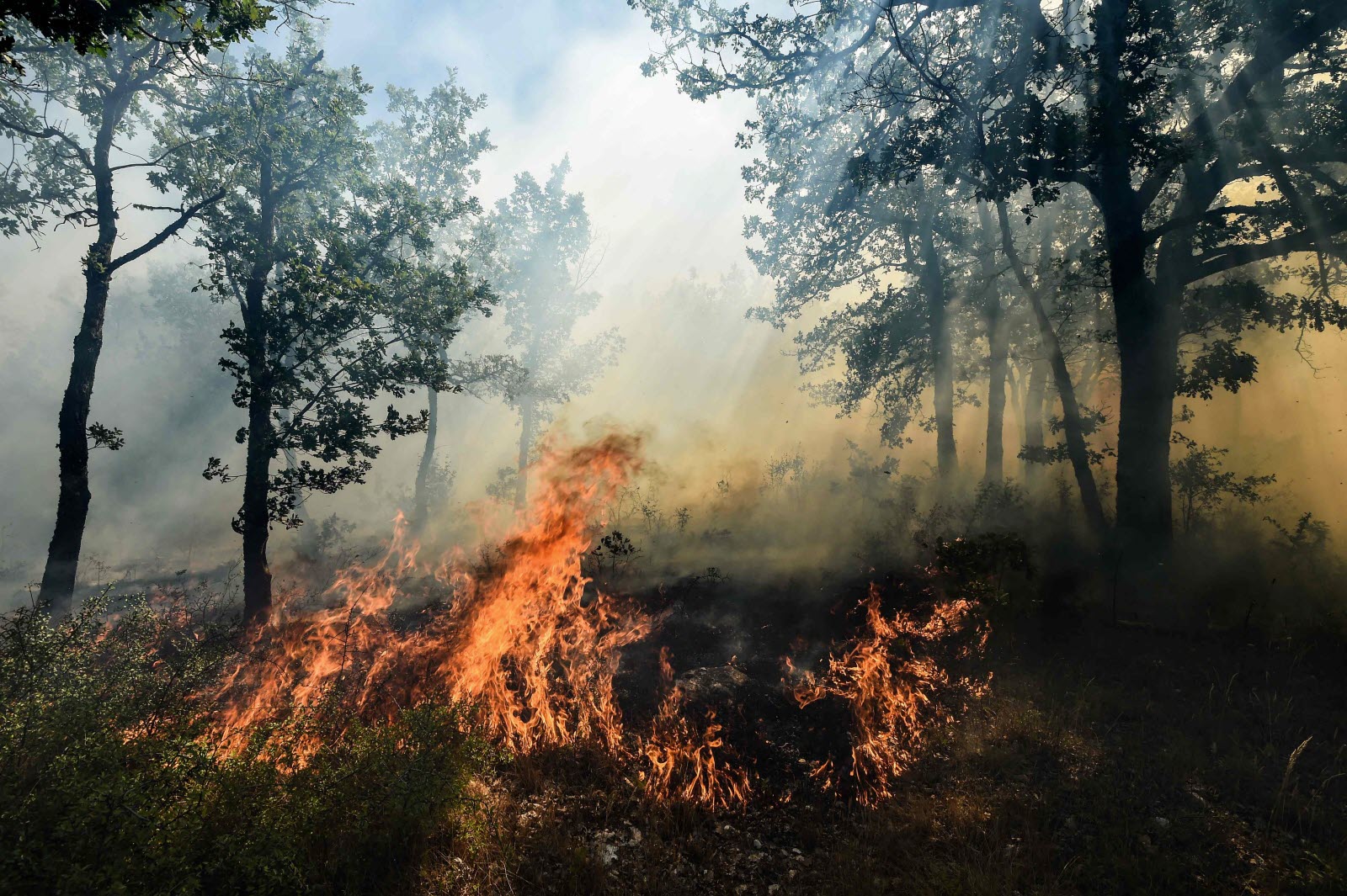 découvrez comment la recrudescence des incendies de forêt dans l'ouest représente un défi croissant pour les assureurs : risques accrus, solutions d'assurance et stratégies d'adaptation.