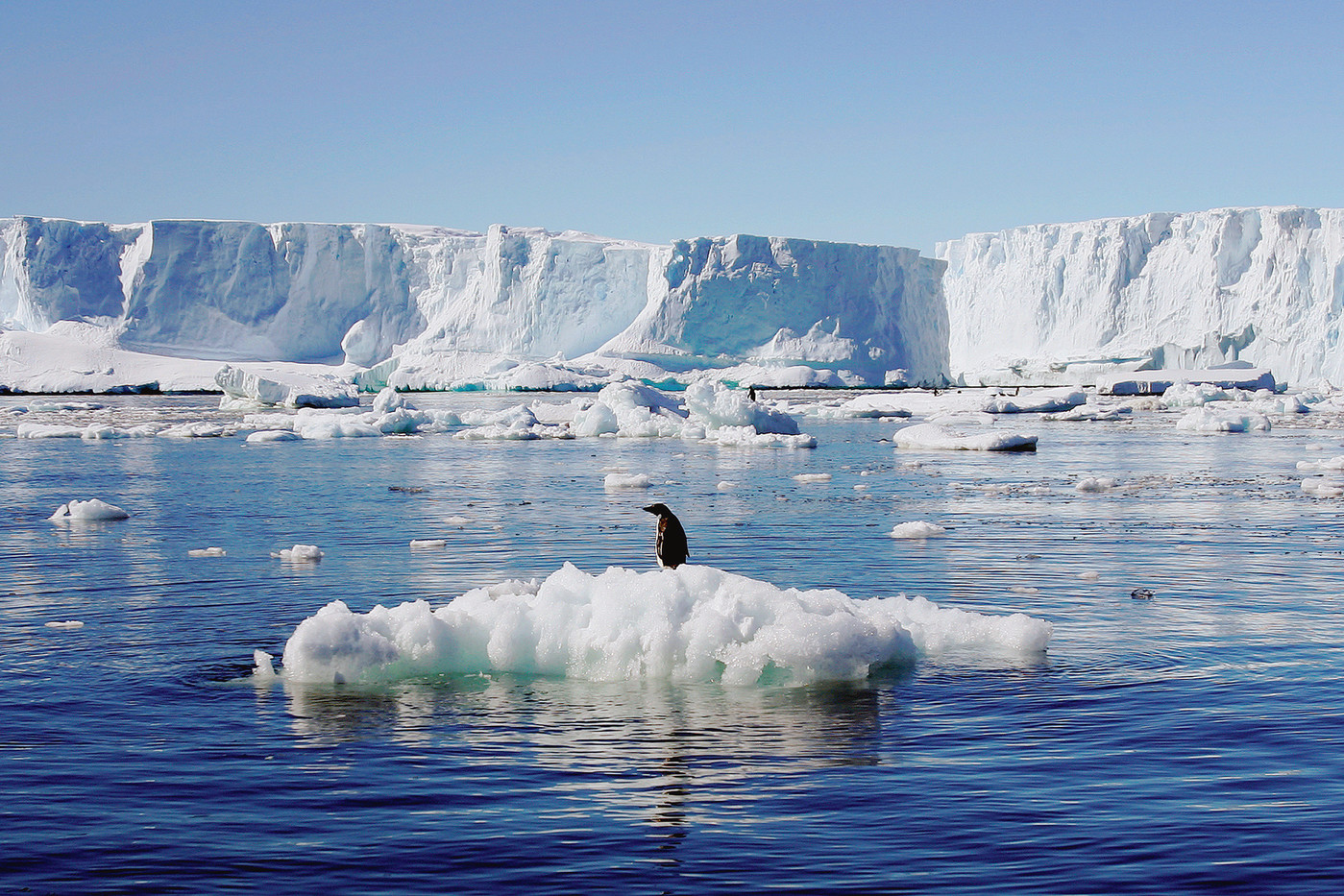 découvrez les causes, les conséquences et les solutions face au réchauffement climatique. informez-vous sur ses impacts environnementaux et sociaux, ainsi que sur les actions pour limiter le changement climatique.