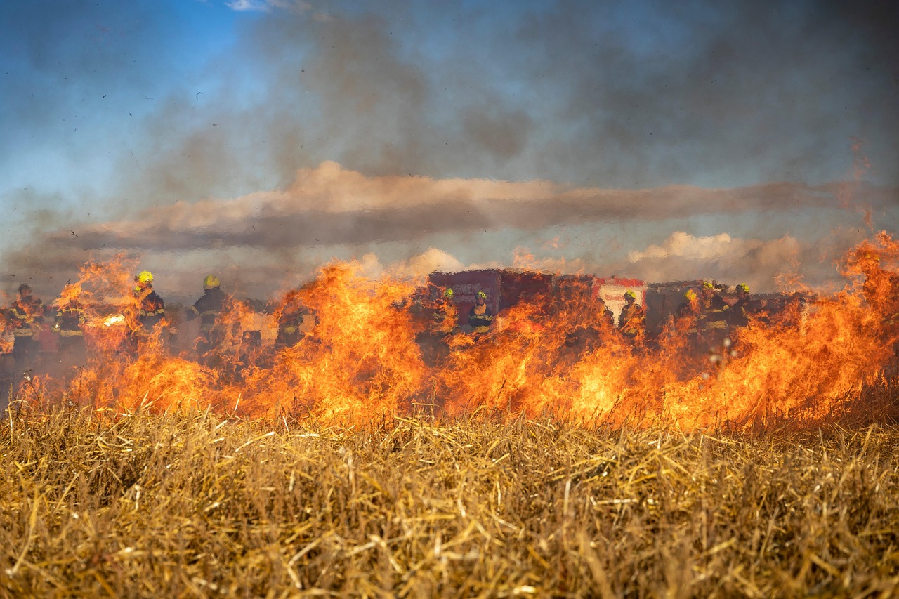 découvrez comment les communautés se préparent et réagissent face aux risques d'incendies pour assurer la sécurité et la prévention.