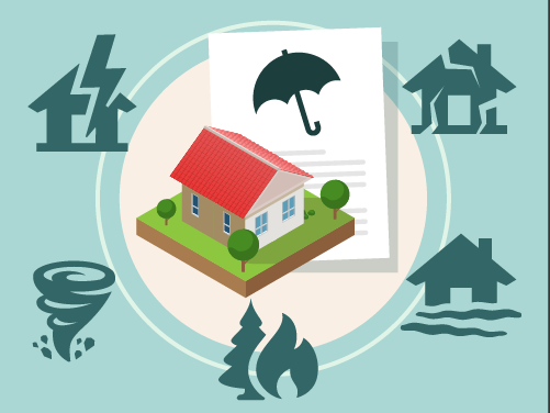 découvrez comment assurant optimise la robustesse de l'habitation tout en réduisant l'impact des catastrophes pour augmenter ses bénéfices.