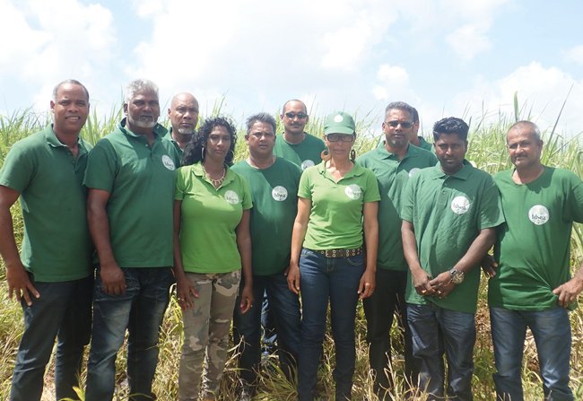 découvrez les délais, les modalités d'indemnisation et l'impact sur les cotisations des assurances post-tempête nils pour mieux gérer votre sinistre.