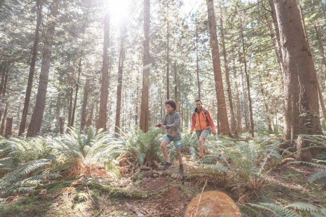 découvrez comment aéma a atteint son meilleur résultat, marquant une étape clé dans son développement et son succès durable.