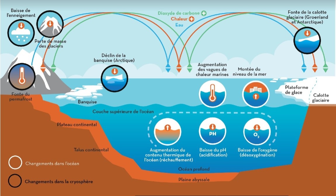 analyse de l'impact des événements climatiques extrêmes sur les résultats et le comportement électoral.