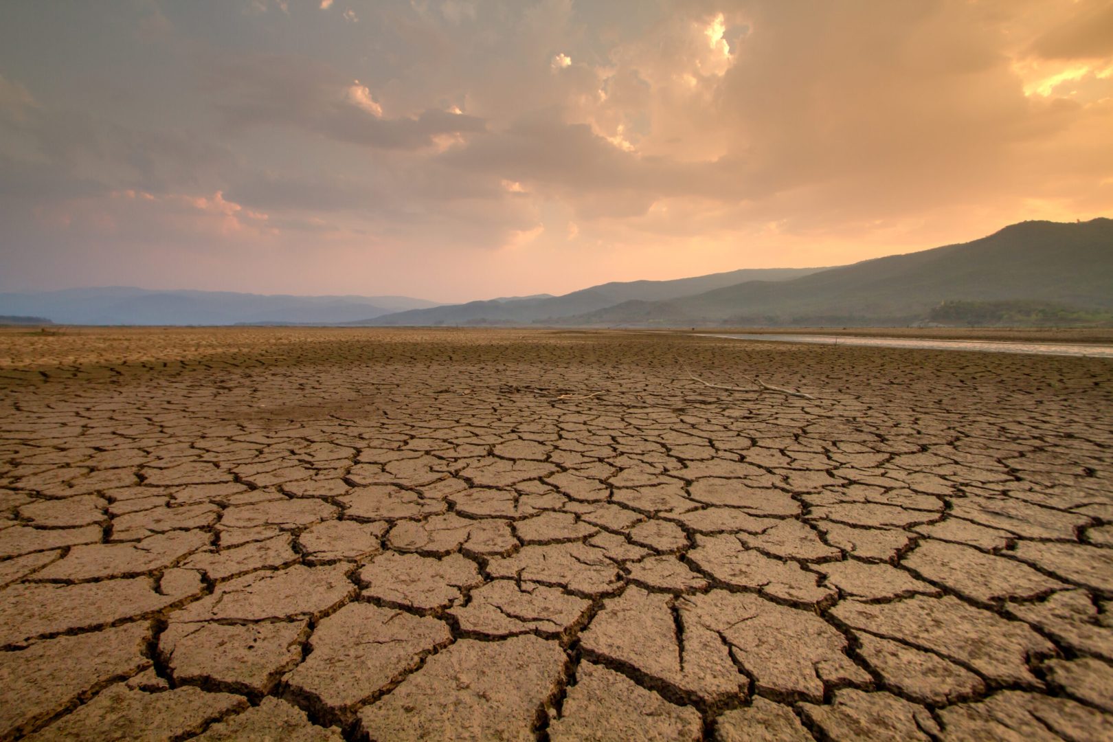 découvrez les enjeux et les impacts de l'exposition aux risques climatiques, ainsi que les stratégies pour mieux s'y préparer et protéger l'environnement.
