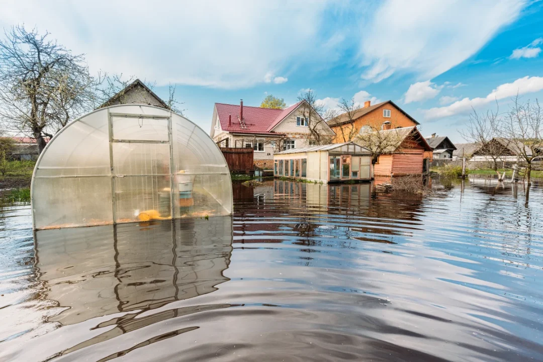découvrez comment les catastrophes climatiques entraînent une hausse spectaculaire des primes d'assurance au canada et son impact sur les assurés et le marché.