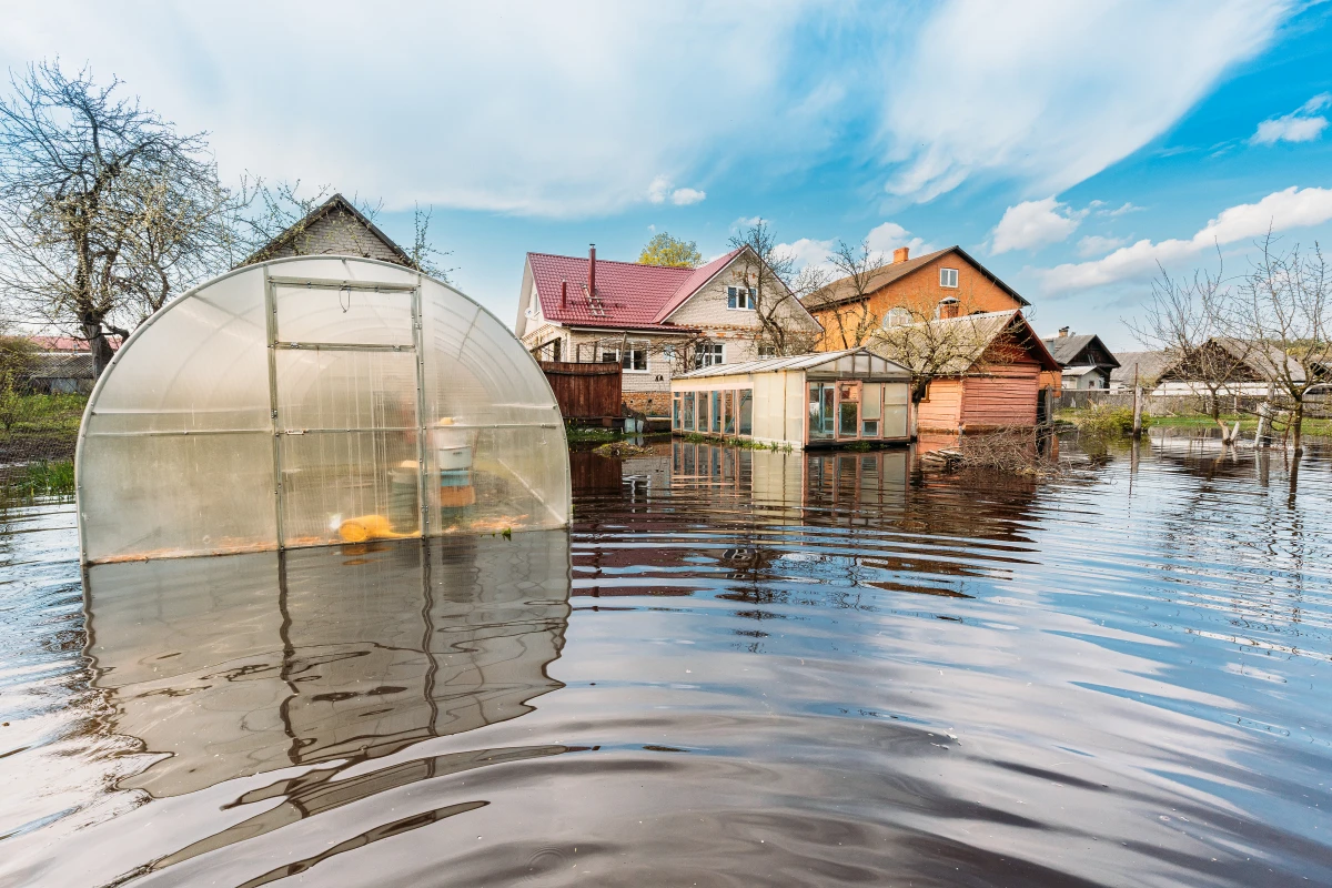 découvrez comment les catastrophes climatiques entraînent une hausse spectaculaire des primes d'assurance au canada et son impact sur les assurés et le marché.