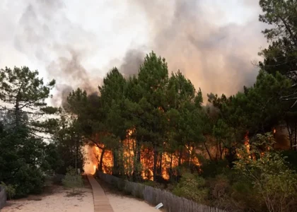 découvrez les informations essentielles sur l'incendie à fontainebleau, les démarches d'assurance et les procédures d'évacuation à suivre pour votre sécurité.