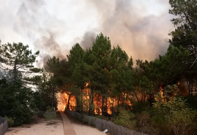 découvrez les informations essentielles sur l'incendie à fontainebleau, les démarches d'assurance et les procédures d'évacuation à suivre pour votre sécurité.