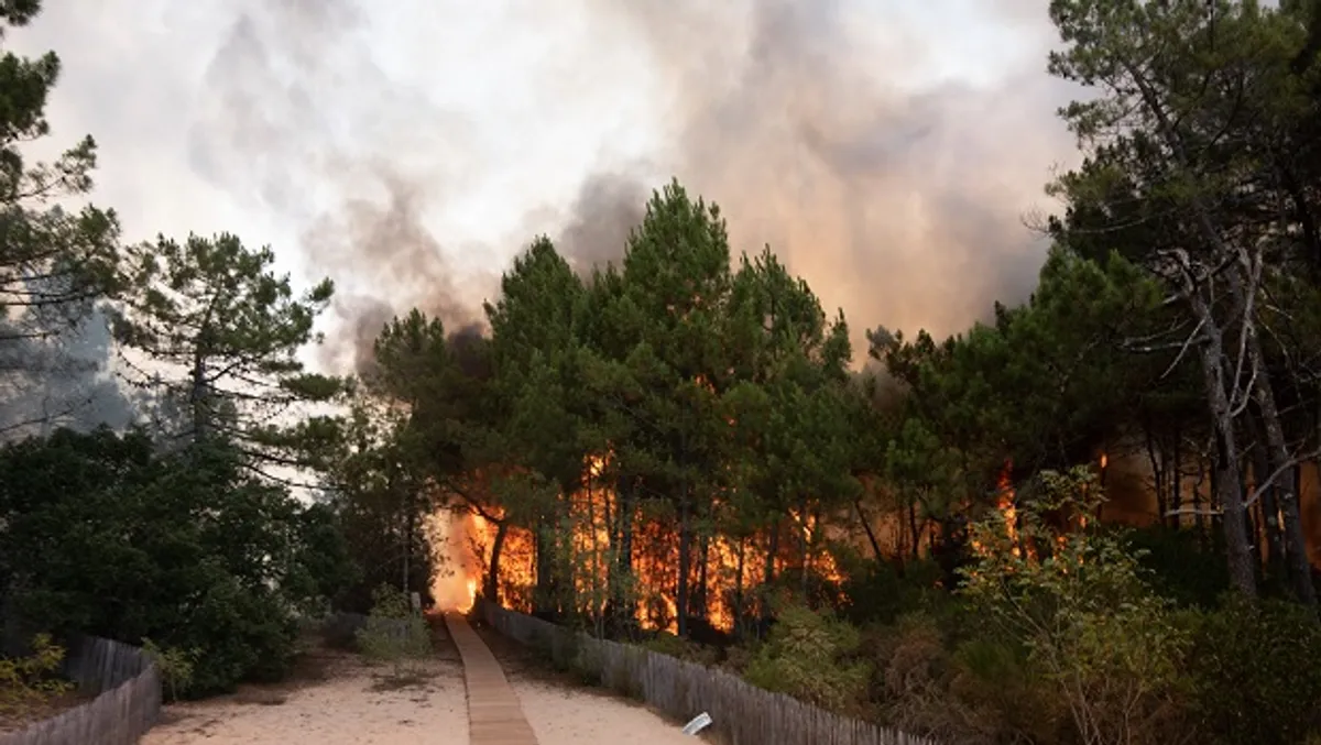 découvrez les informations essentielles sur l'incendie à fontainebleau, les démarches d'assurance et les procédures d'évacuation à suivre pour votre sécurité.