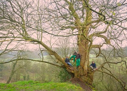 découvrez comment gérer un arbre tombé avec votre assurance : démarches, couverture et conseils pour un remboursement efficace.